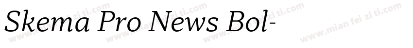 Skema Pro News Bol字体转换